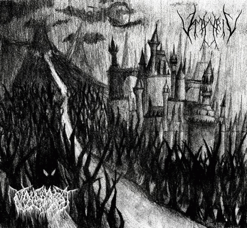 Vampyric : Allied Under Black Light